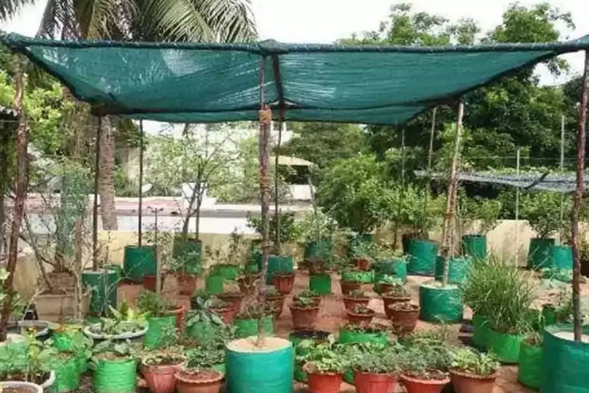 மாடி