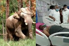 கம்பத்தில் அரிசிக்கொம்பன் தாக்கிய நபருக்கு ரூ.50,000 நிவாரணம்..