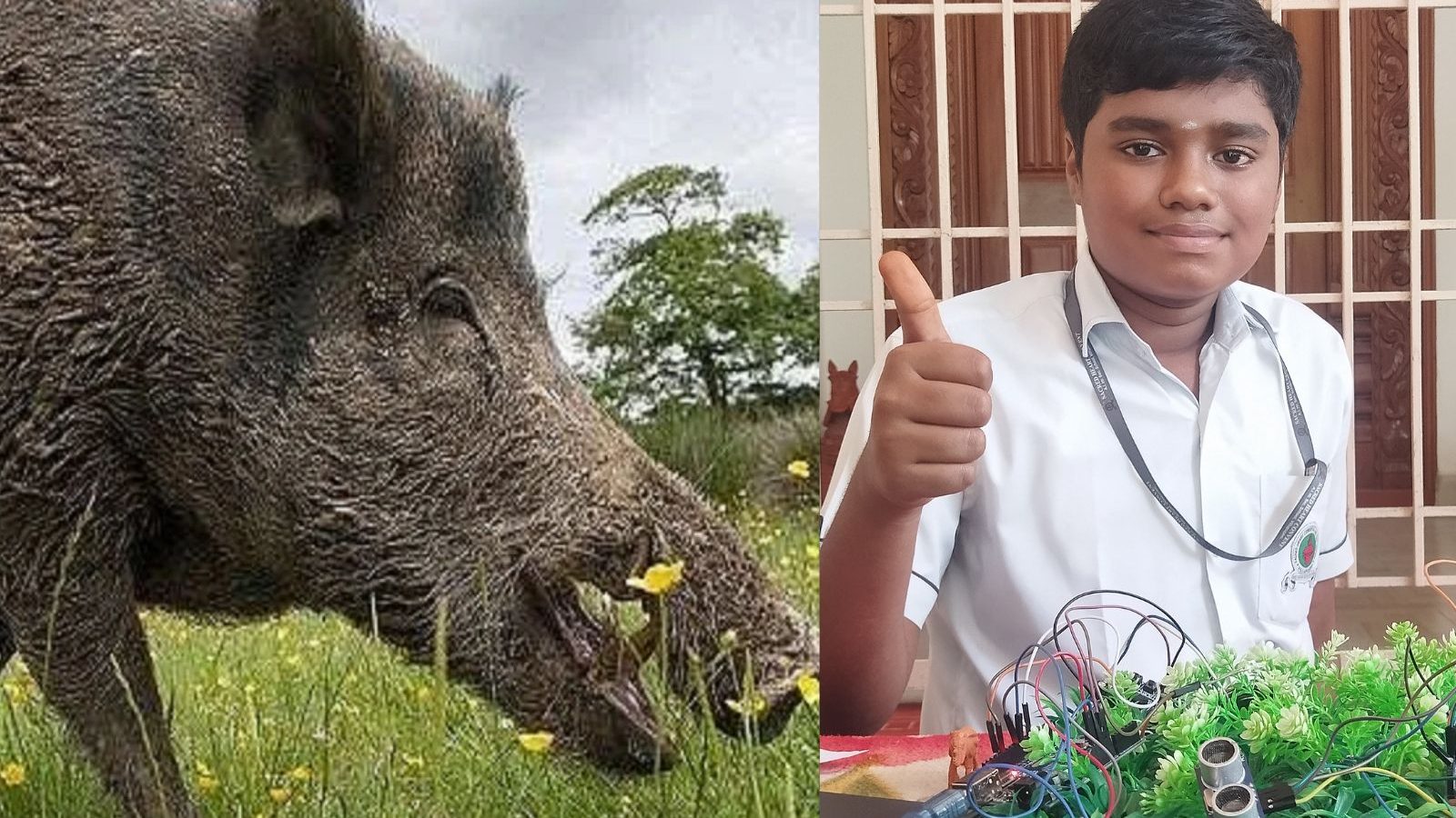 இனி விவசாய நிலங்களை விலங்குகள் சேதமாக்காது.. விழுப்புரம் மாணவனின் அசத்தல் கண்டுபிடிப்பு..