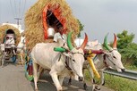 200 மாட்டுவண்டிகளில் குலதெய்வ கோவில் வழிபாட்டுக்கு வரும் 56 கிராம மக்கள்.. 