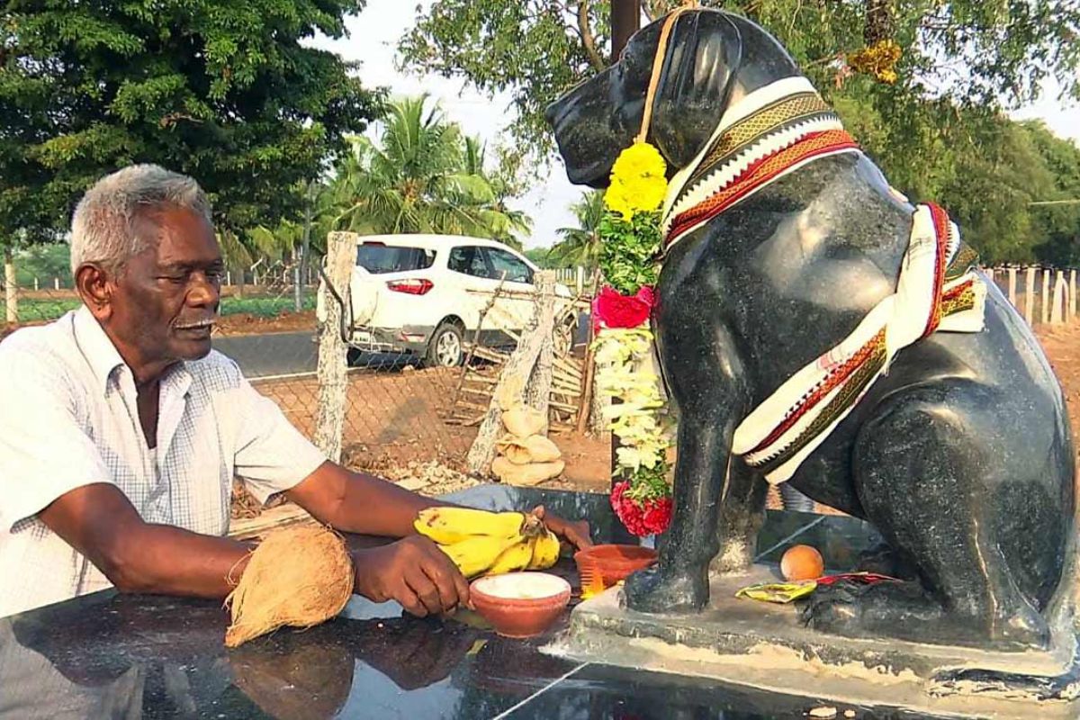  நம் ஊரில் பொதுவாக சிவன்,  திருமால், அம்மன், முருகன் , விநாயகர் என்று பல தெய்வங்களுக்கு கோவில்கள் இருந்து பார்த்திருப்போம். ஆனால் இவை தவிர்த்து சில வித்தியாசமான கோவில்களும் உலகில் உள்ளது. அதில் சில விலங்குகளைக் கடவுளாக பாவிக்கப்பட்டு வணங்கப்படுகின்றன. அந்த கோவில்களை பற்றி தான் இந்தத் தொகுப்பில் பார்க்க இருக்கிறோம்.