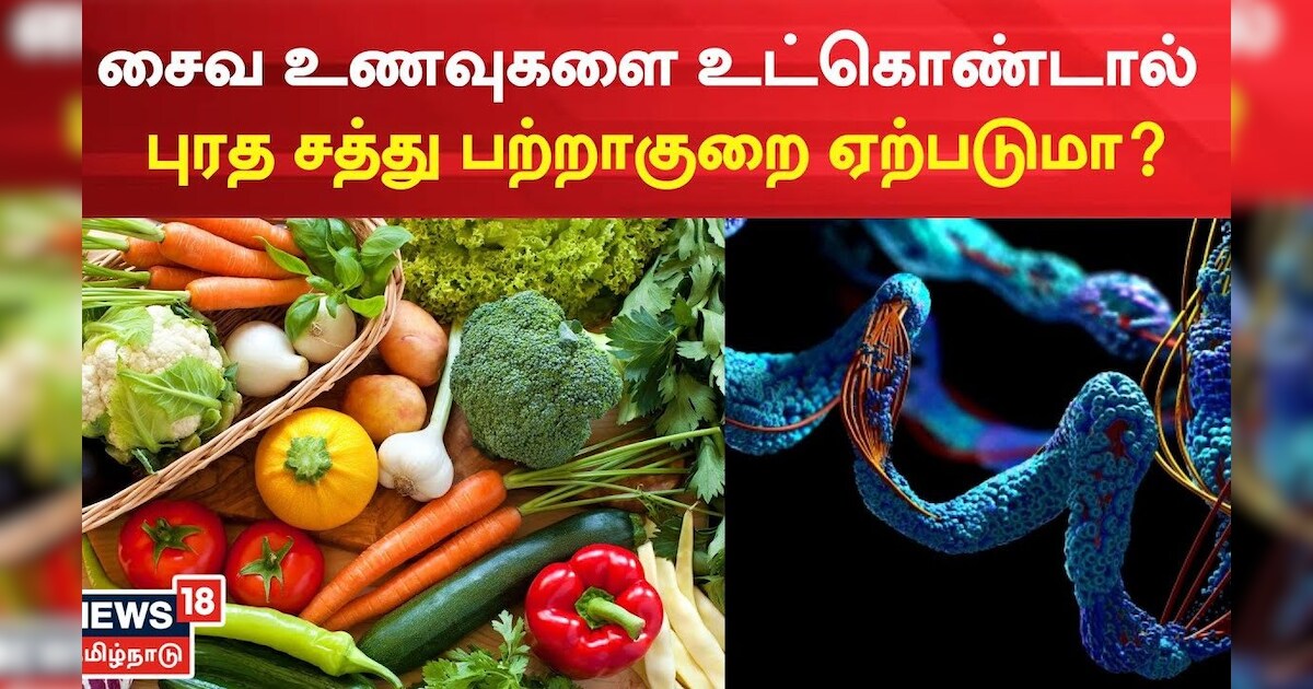 Protein Deficiency சைவ உணவுகளை உட்கொண்டால் புரத சத்து பற்றாகுறை