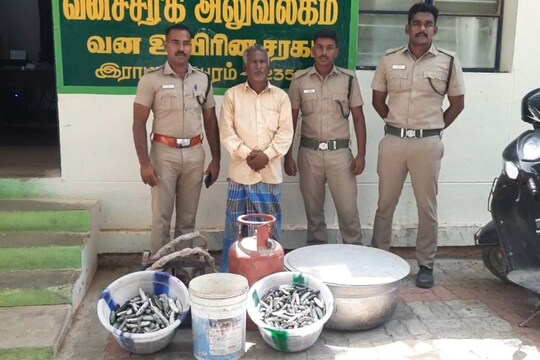 கடத்துலுக்கு