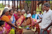 குதிரைக்கு வளைகாப்பு நடத்திய கிராம மக்கள்... ஈரோட்டில் விநோதம்...!