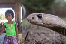 மதுரையில் பாம்பு கடித்து சிறுமி பரிதாபமாக உயிரிழப்பு..