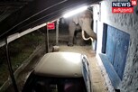 படையெடுக்கும் 'படையப்பா' யானை... பதற்றத்தில் கிராம மக்கள்!