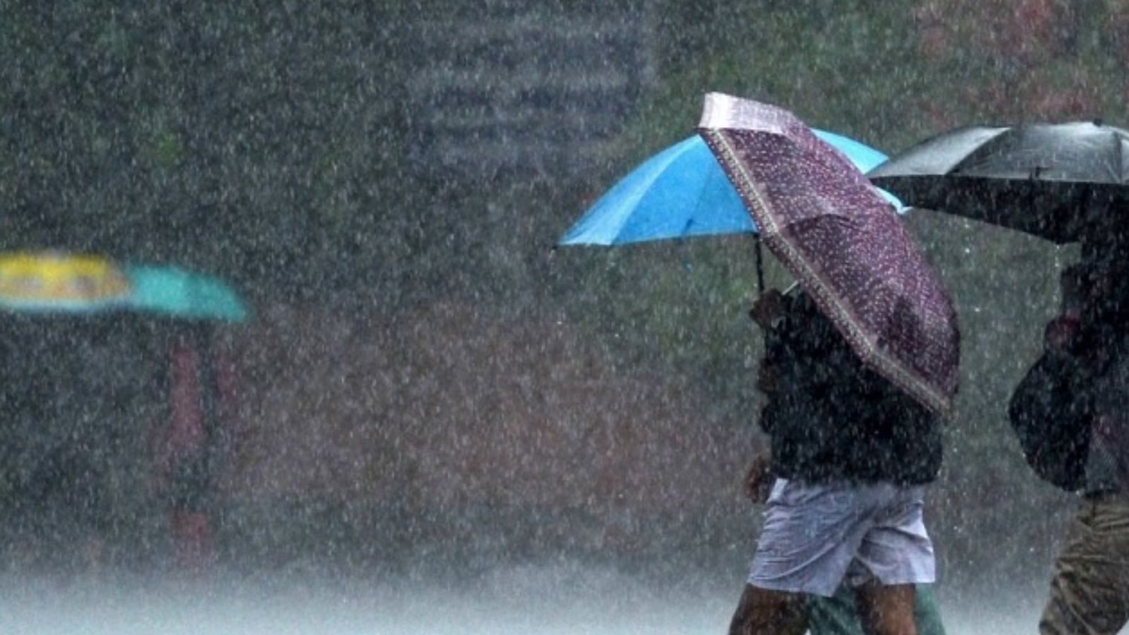 சென்னையில் ஜூன் மாதத்தில் இவ்வளவு மழை ஏன்?- காரணம் இதுதான்...