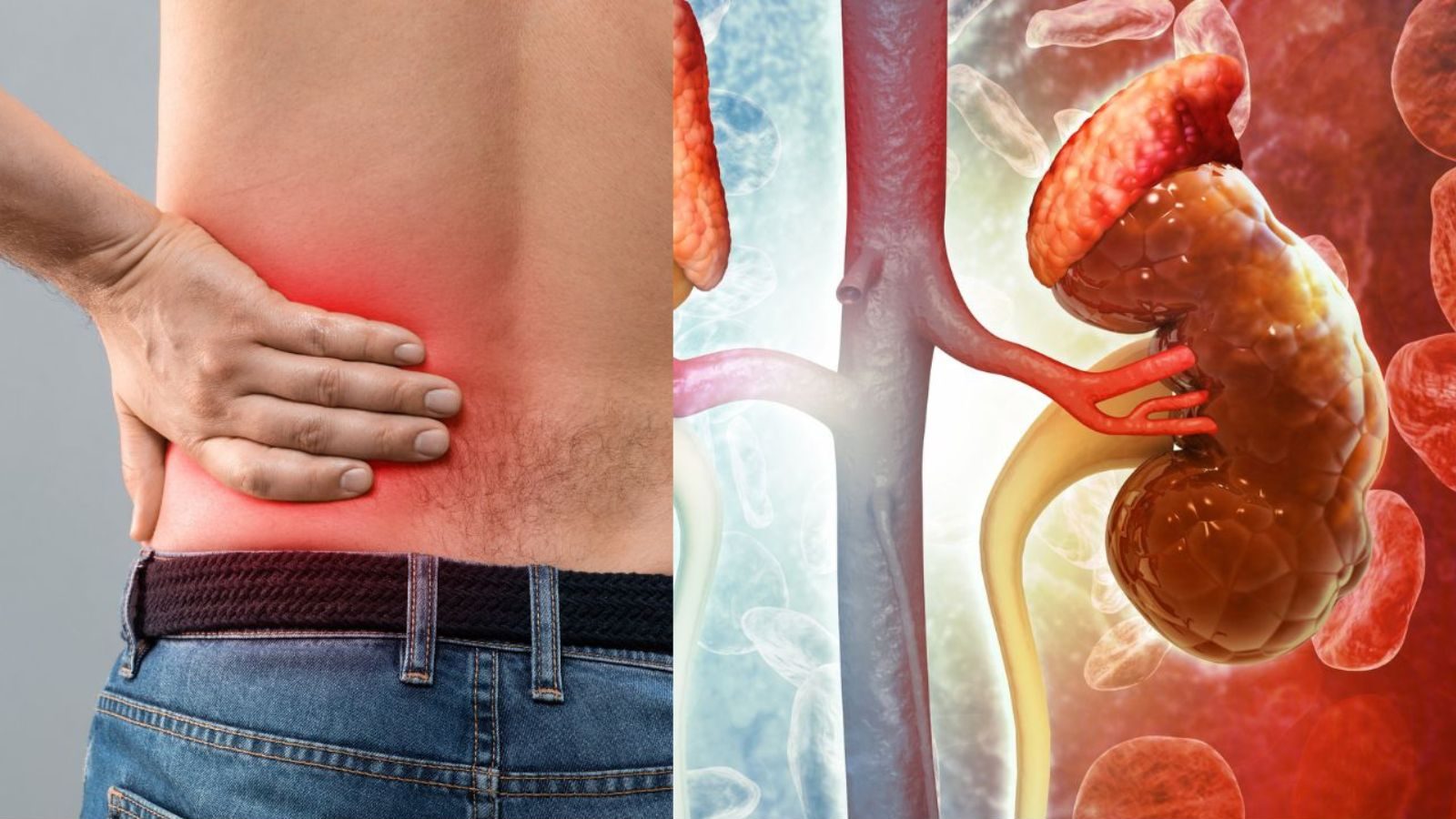 திடீரென கிட்னி செயலிழப்பதற்கு என்ன காரணம்..? ஆரம்பகால அறிகுறிகள் எப்படி இருக்கும்..?