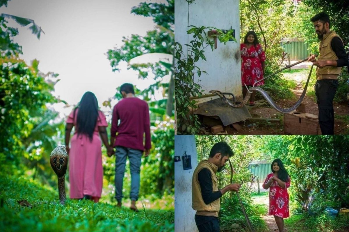 படமெடுக்கும் பாம்புடன் வெட்டிங் போட்டோ சூட்...