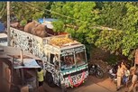 அரிசிக்கொம்பன் யானை இடமாற்றம்... சுருளி அருவிக்கு செல்ல அனுமதி
