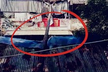 பாகூரில் சாய்ந்து விழுந்த பனைமரம்..! அதிர்ஷ்டவசமாக உயிர் தப்பிய தாய், மகன்..!