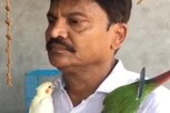 பறவைகளை காப்பதையே குறிக்கோளாக வைத்திருக்கும் மருத்துவர்