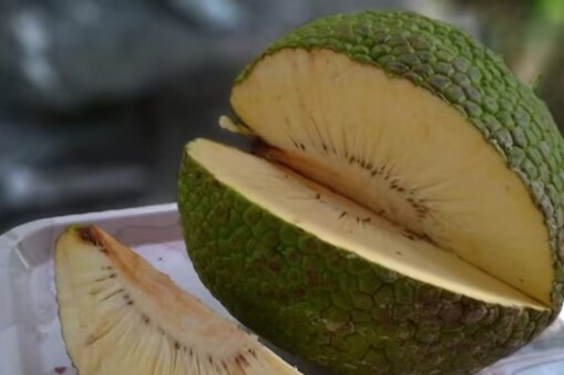 பிரெட்பழம்