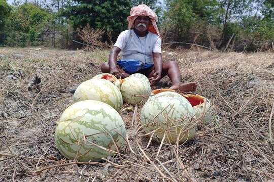 அறுவடைக்கு
