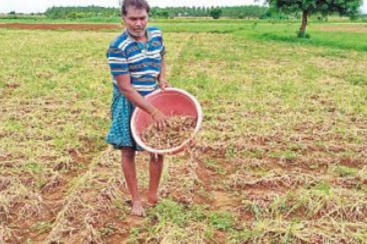 மதுரை மாவட்ட விவசாயிகளே.. E-NAM திட்டத்தின் கீழ் இவ்வளவு லாபமா?