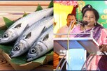 மீனை சைவ உணவு பட்டியலில் சேர்க்க வேண்டும் - ஆளுநர் தமிழிசை