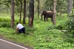 யானையிடம் இருந்து நூலிழையில் உயிர் தப்பிய தமிழக சுற்றுலா பயணி!