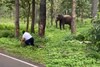 யானையிடம் இருந்து நூலிழையில் உயிர் தப்பிய தமிழக சுற்றுலா பயணி!