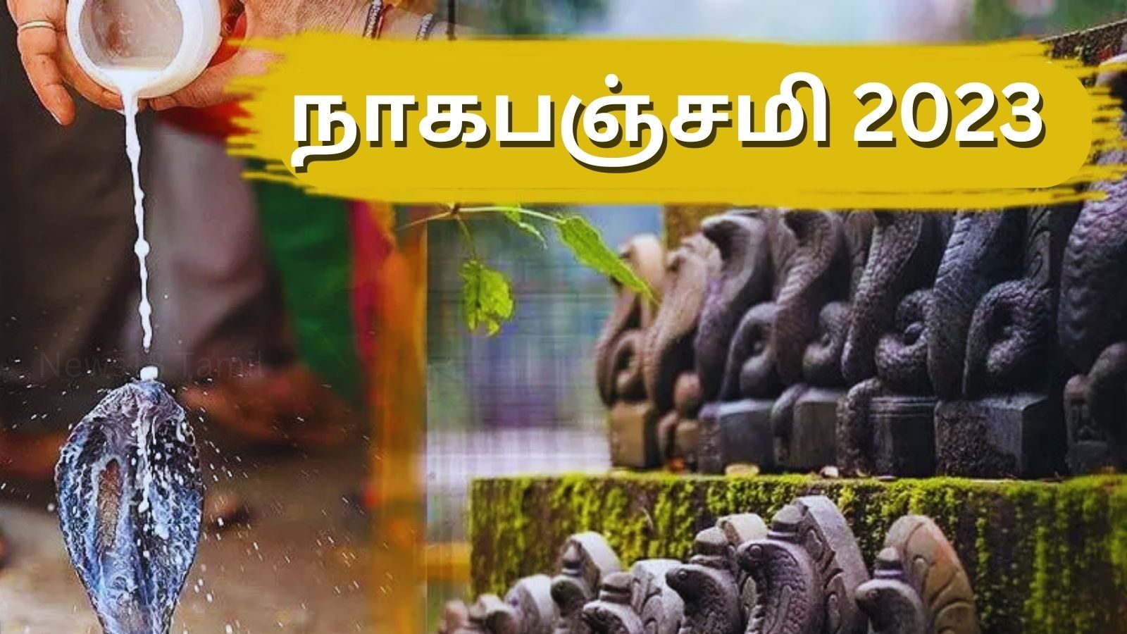 நாகபஞ்சமி 2023... இந்த 5 ராசிக்காரர்களுக்கு அதிர்ஷ்ட மழை!