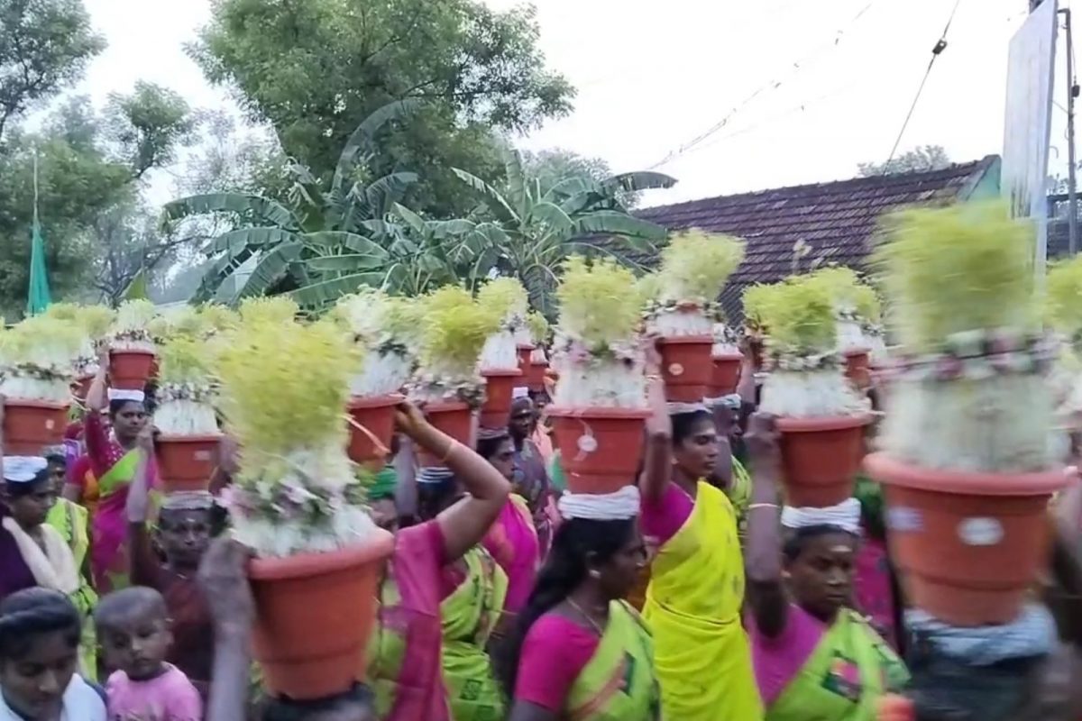 7 நாட்கள் விரதம் இருந்து முளைப்பாரி எடுக்கும் பெண்கள்..