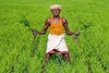 புதுகை விவசாயிகளுக்கு முக்கிய அறிவிப்பு..