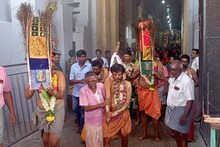 வைகாசி விசாகம் - மேலவாசல் முருகன் கோவிலில் பால்குடம் எடுத்து பக்தர்கள் சுவாமி தரிசனம்