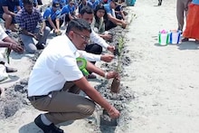 உலக சுற்றுச்சூழல் தினம் - குந்துகால் உவர்நிலப் பகுதிகளில் அலையாத்தி செடிகள் நடவு..
