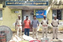 ராமேஸ்வரத்தில் 220கிலோ கடல் அட்டைகள் பறிமுதல்.. 4 பேர் அதிரடி கைது!