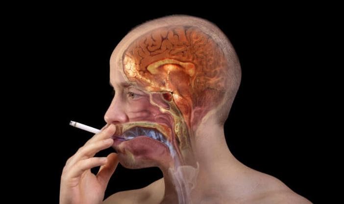 சிகரெட் பிடிப்பதால் மூளையை சுருக்கி நினைவாற்றலை குறைக்கும் அபாயம்