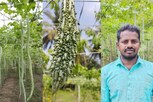 அரை ஏக்கரில் புடலங்காய், பாகற்காய் சாகுபடி.. தஞ்சை விவசாயி அறிவுரை!