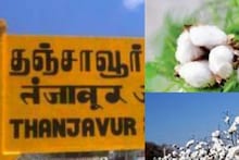 தஞ்சை விவசாயிகளே! பருத்தி மறைமுக ஏலம் தொடங்க போகுது.. எப்போது தெரியுமா?