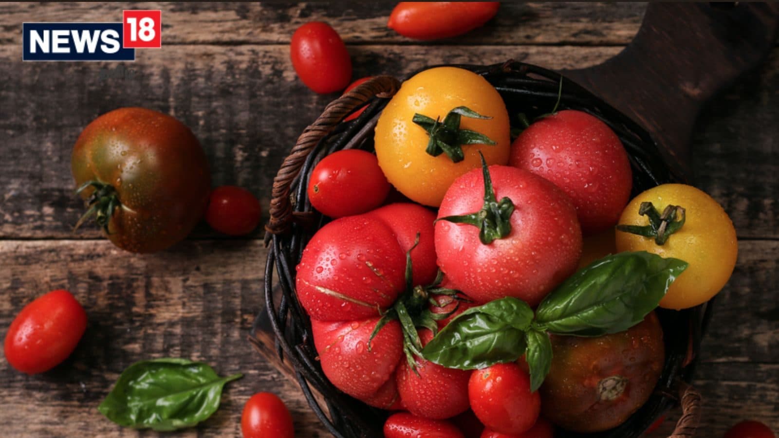 Apa…tomat bukan sayuran lokal kita..?  Pelajari tentang sejarah sebenarnya dari tomat.
