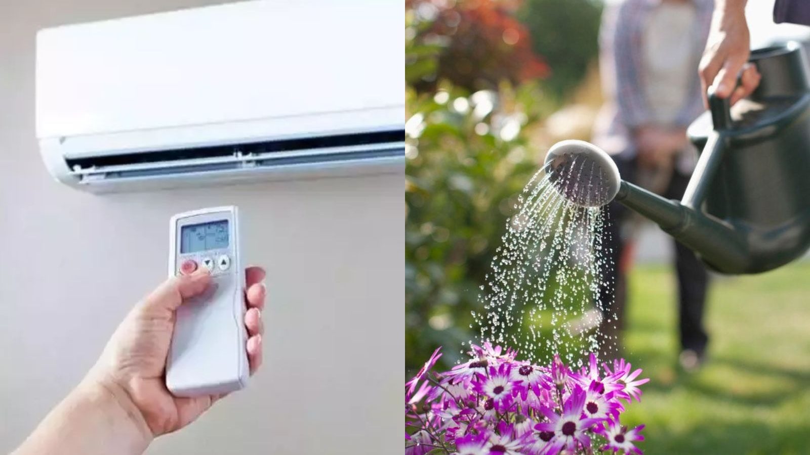 ஏசியிலிருந்து வெளியேறும் தண்ணீரை செடிகளுக்கு பாய்ச்சலாமா? பலருக்கும்