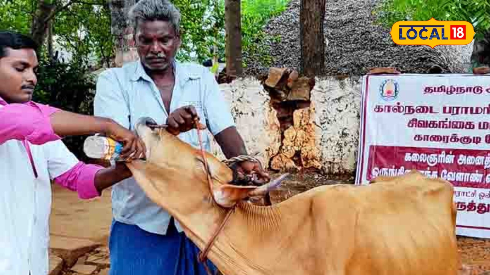 தேனி மக்களே.. கால்நடைகளுக்கு பிரச்சனையா? உடனே இந்த எண்ணை தொடர்பு கொள்ளுங்க!