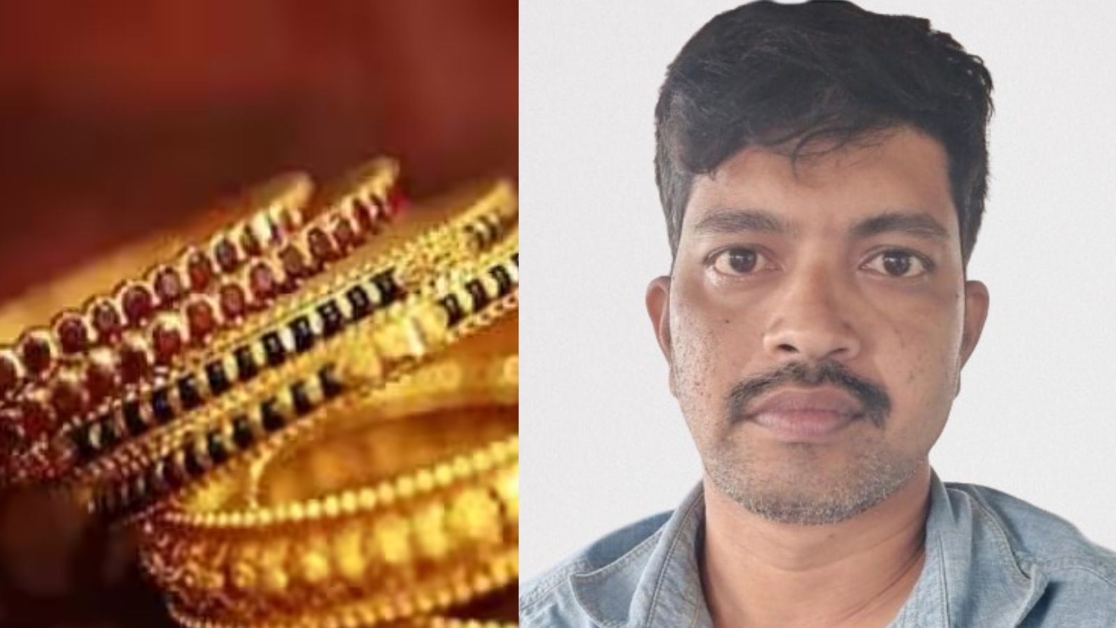 “என் உயிரே போனாலும் பரவாயில்லை...” சினிமாவை மிஞ்சிய நடிப்பு.. ஆடிட்டர் வீட்டு கொள்ளையில் சிக்கிய கார் டிரைவர்