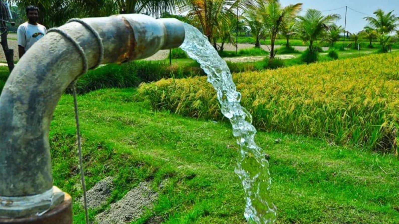 விவசாயிகளுக்கு குட் நியூஸ் சொன்ன தமிழக அரசு... மேலும் 50,000 பேருக்கு இலவச மின்சாரம்...!