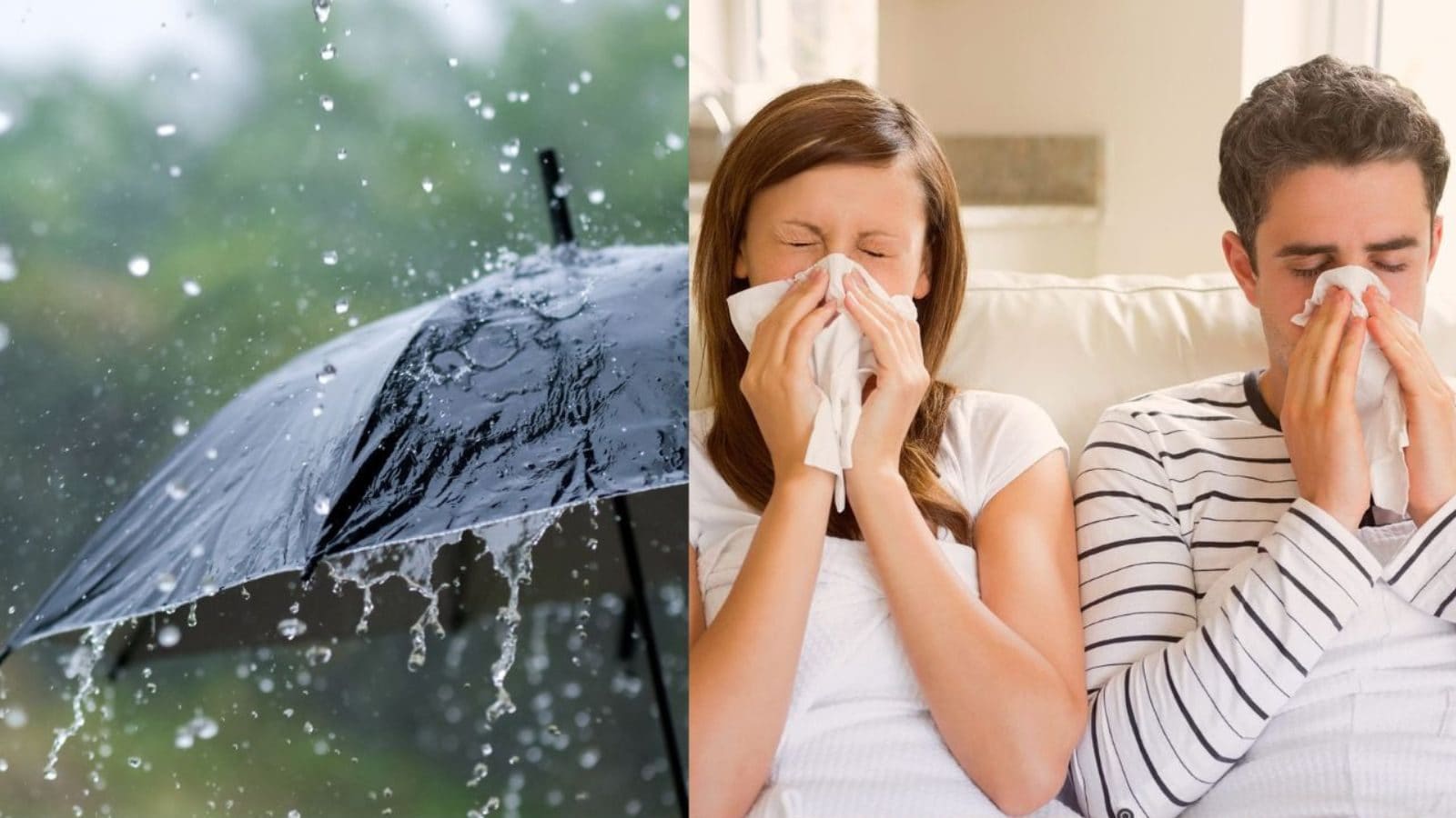 இந்த 5 பொருட்களை உங்கள் உணவில் சேர்த்தாலே போதும்... மழைக்கால நோய்களை பற்றி கவலை வேண்டாம்...