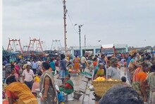 மீன்கள் விலை அதிரடியாக குறைந்தது... மீன் பிரியர்களால் களை கட்டிய மீன்பிடித் துறைமுகம்..!