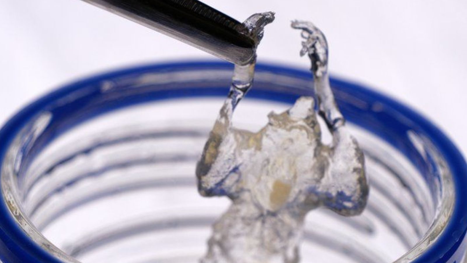 ஆரம்ப நிலையிலேயே புற்றுநோய் செல்களை கண்டறிய முடியுமா...? விஞ்ஞானிகளுக்கு நம்பிக்கை அளித்த ஆராய்ச்சி..!