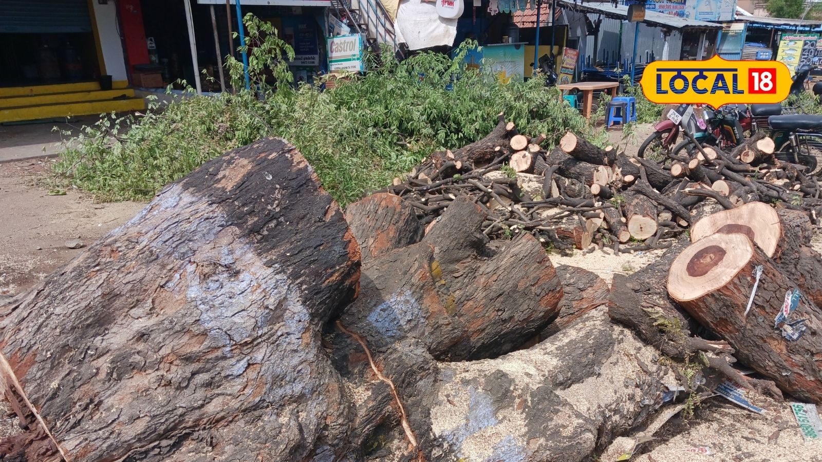 சாலை பணிக்காக வெட்டப்படும் பழமையான மரங்கள்.. நாமக்கல் மக்கள் வேதனை!