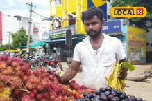 களைகட்டும் நாவற்பழம் சீசன்.. குஷியில் வியாபாரிகள்!