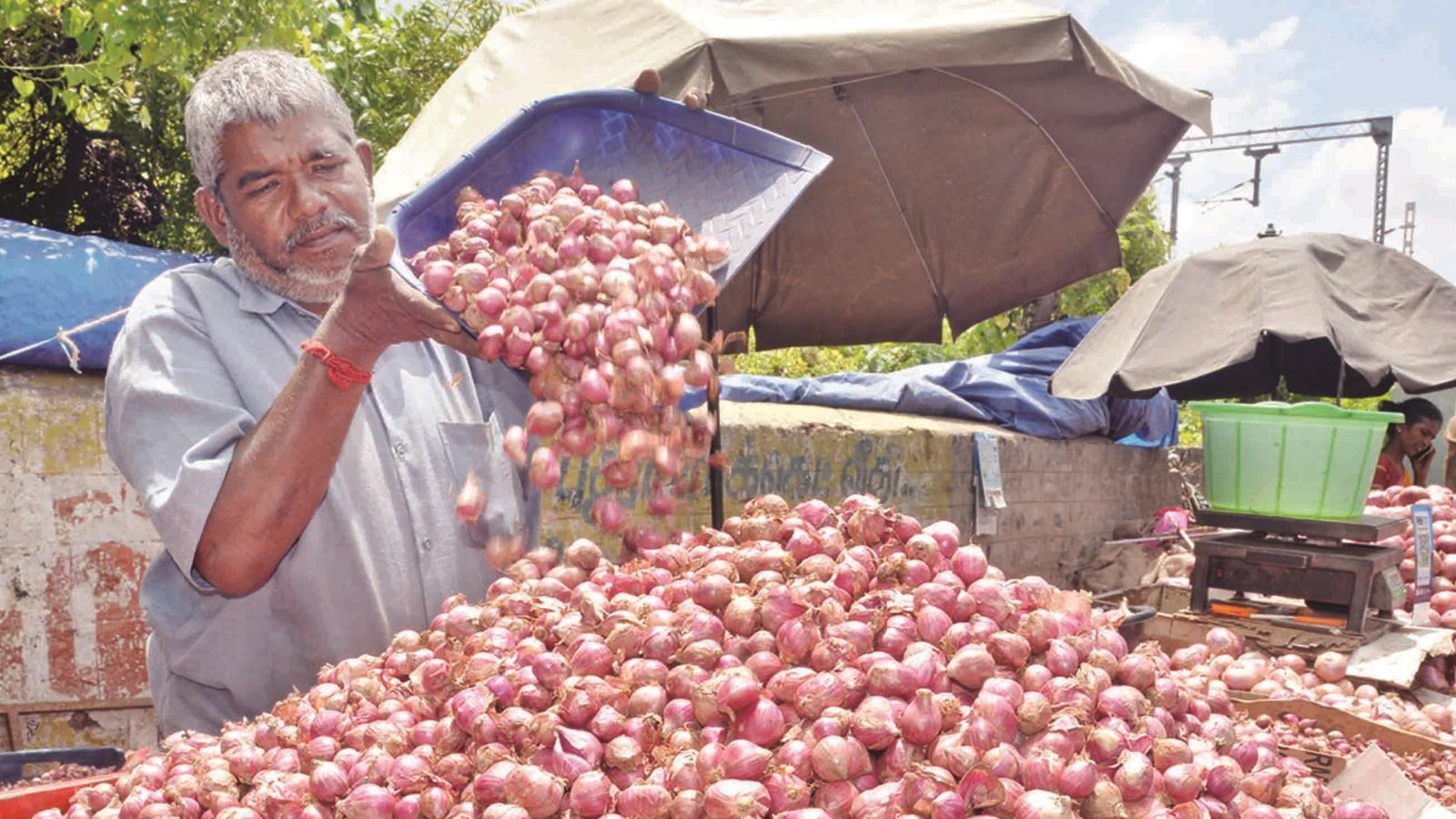 அதிரடியாக குறைந்த வெங்காயம் விலை... ஒரு கிலோ எவ்வளவு தெரியுமா?