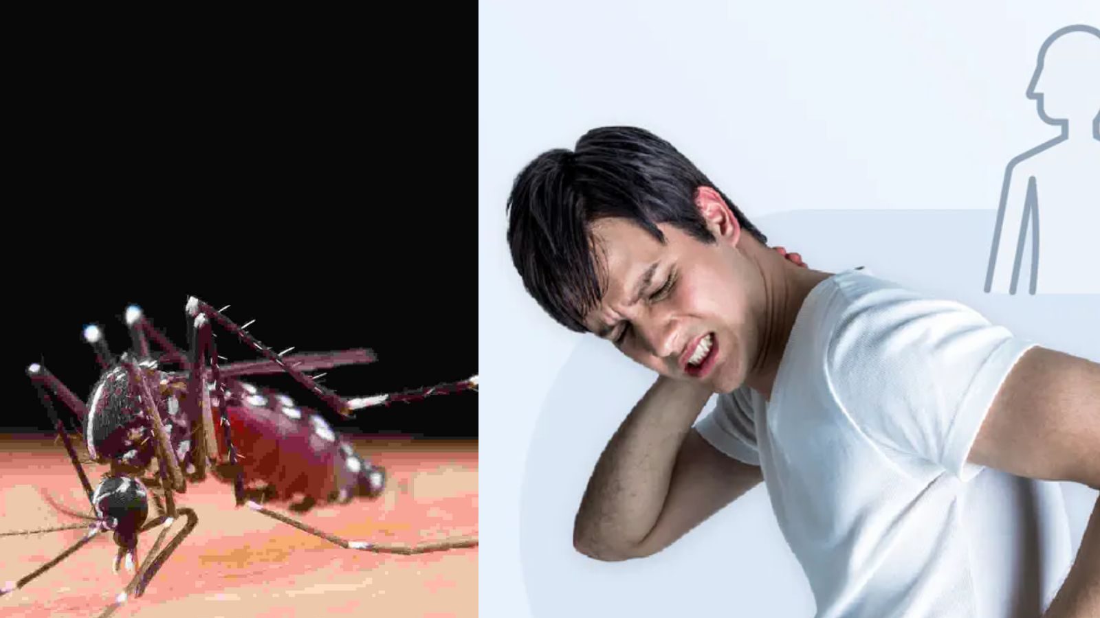 அதிகரிக்கும் டெங்கு காய்ச்சல்... இந்த 4 அறிகுறிகளை கவனிக்காம விட்டுடாதீங்க..!