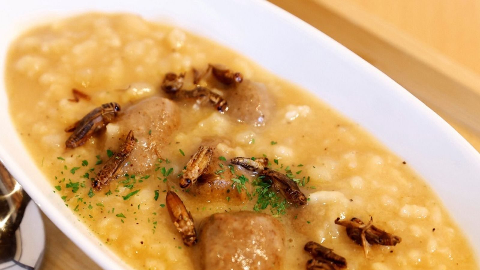 கொழுத்த புழு.. வறுத்த கரப்பான்.. பூச்சிகளை சமைத்து உணவுகள்.. பிரபலமாகும் உணவகம்!