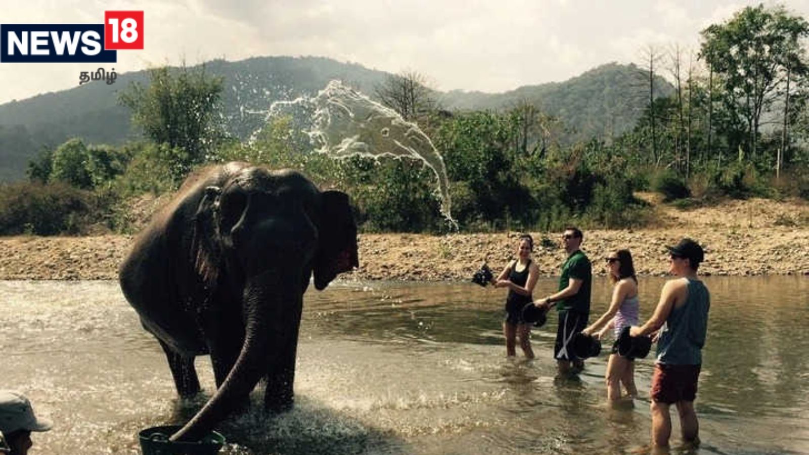 படத்திலுள்ள 2வது யானையை 5 வினாடிகளில் கண்டுபிடிக்க முடியுமா? உங்க பார்வை படுஷார்ப்தான்..!