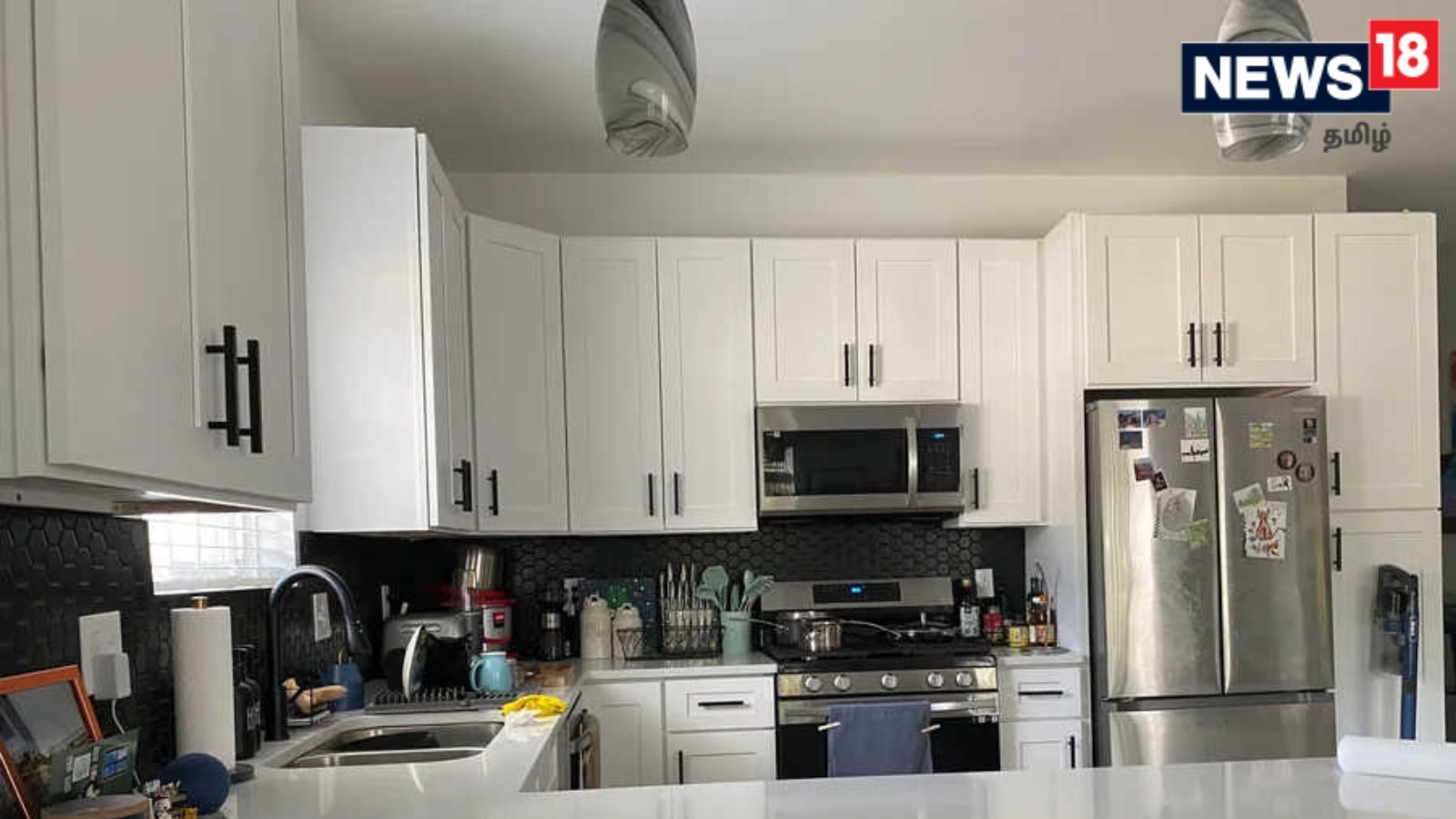 9 நொடிகளுக்குள் 2 பூனைகளை உங்களால் கண்டுபிடித்து சவாலில் வெல்லமுடியுமா?