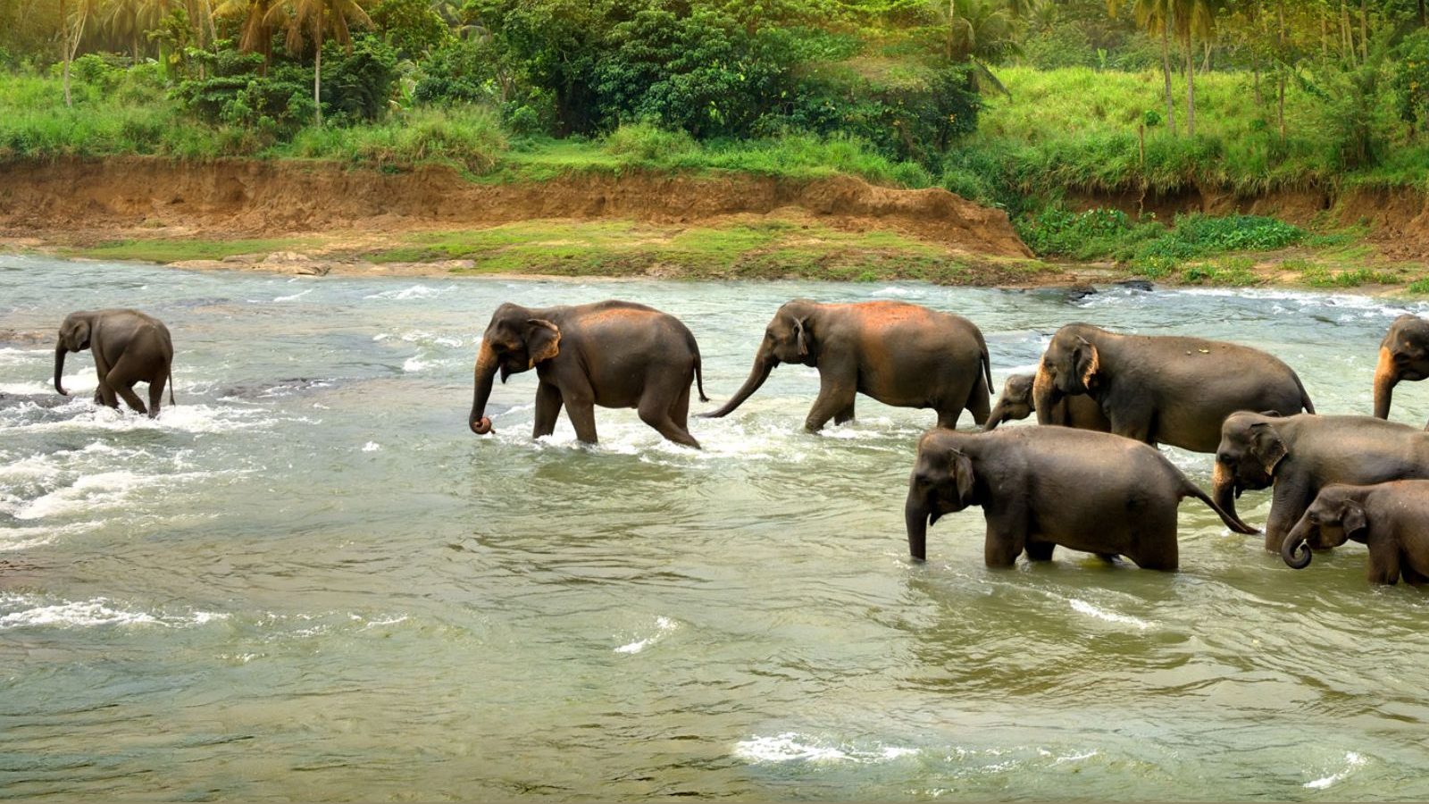 இந்த சீசனில் தேக்கடி அருகே பார்க்க வேண்டிய முக்கிய இடங்கள் இவைதான்...!