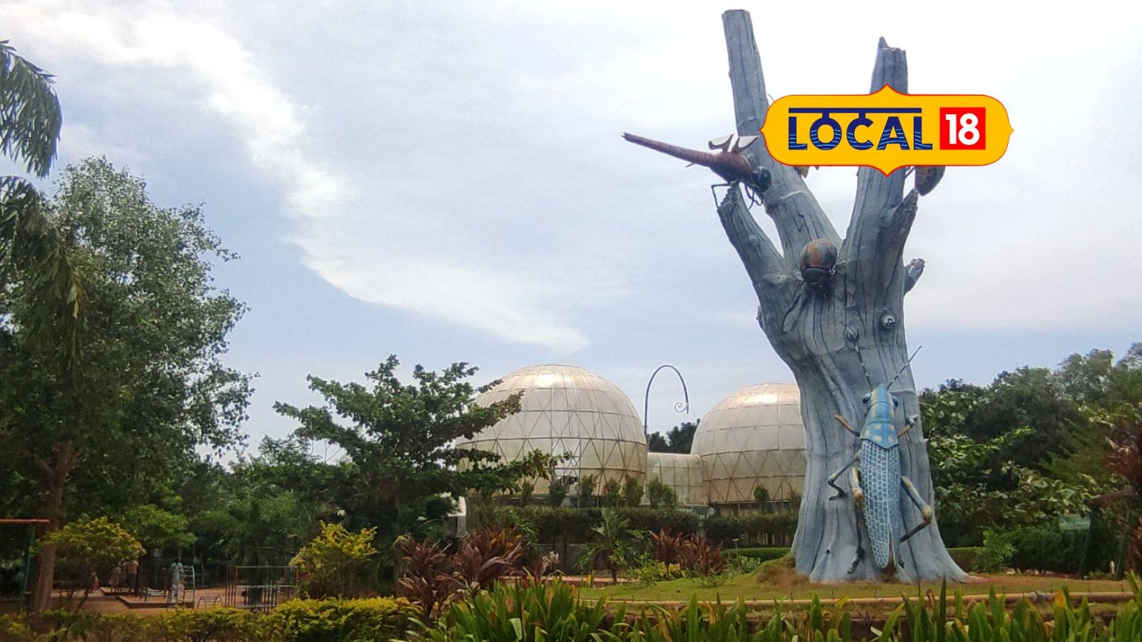 ஸ்ரீரங்கத்தில் இப்படி ஒரு சுற்றுலா இடமா? - பார்வையாளர்களை கவரும் வண்ணத்துப்பூச்சி பூங்கா!