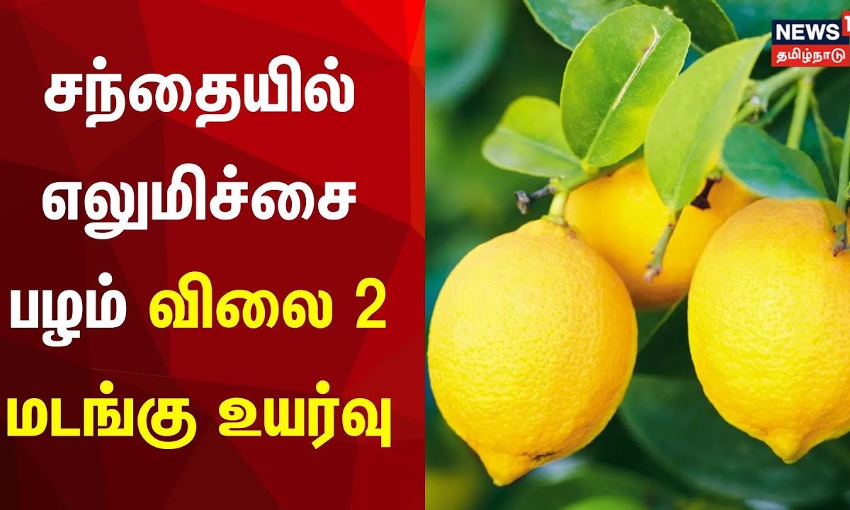 Lemon benefits hotsell in tamil