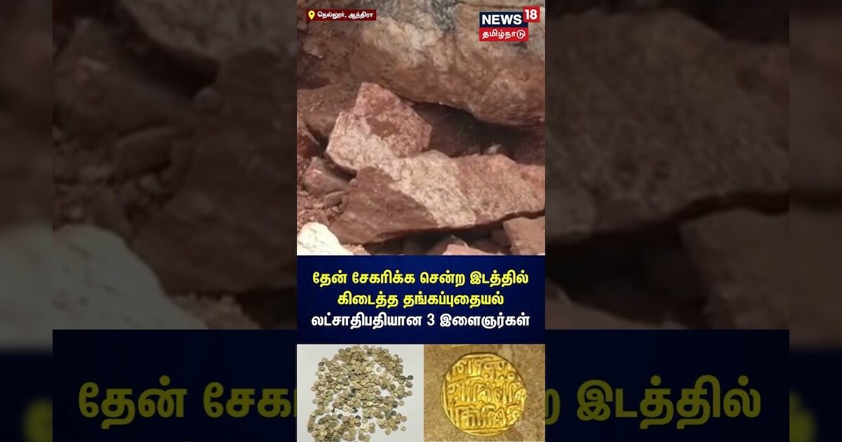 தேன் எடுக்க சென்ற இடத்தில் கிடைத்த தங்க புதையல்.. லட்சாதிபதியான 3 இளைஞர்கள் | Theni | N18v